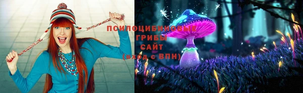 тгк Армянск