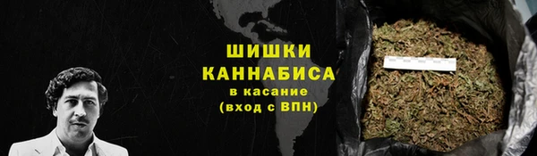 прущие грибы Аркадак