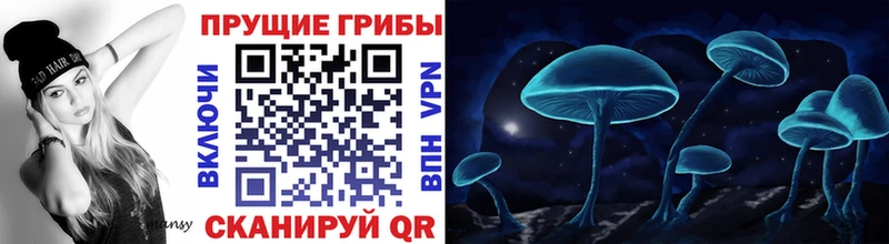 Галлюциногенные грибы ЛСД  где купить наркоту  Озёры 